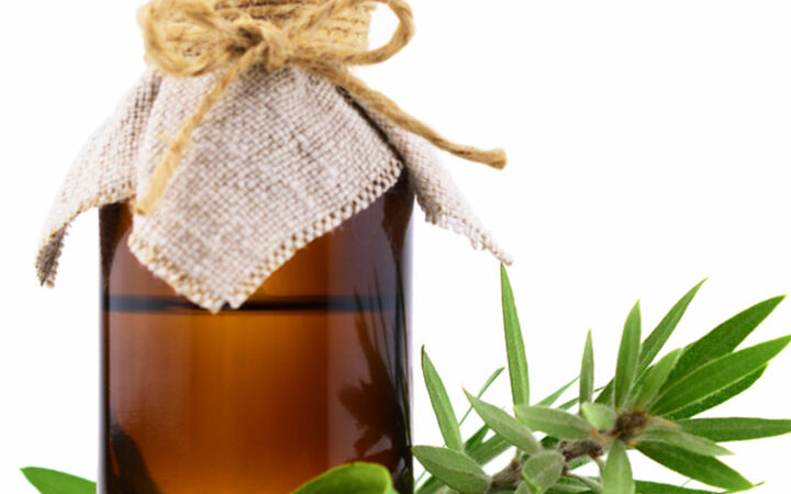 Harnessing Nature’s Power: Tea Tree Oil for Psoriasis – A Comprehensive Guide