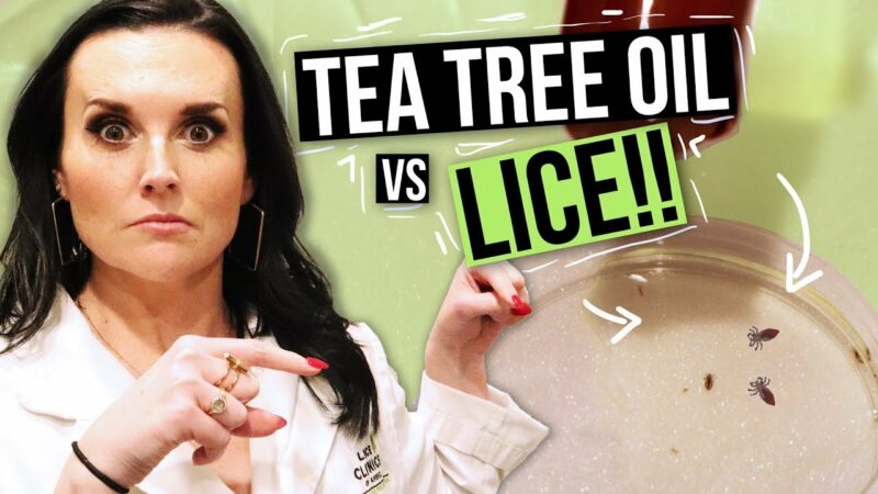 Harnessing Nature’s Power: Exploring Tea Tree Oil for Lice Treatment
